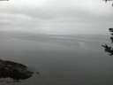 ./images/koeye/fitz-hugh/20180812/fitz-hugh20180812_054001.jpg