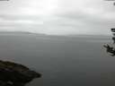 ./images/koeye/fitz-hugh/20180812/fitz-hugh20180812_061501.jpg