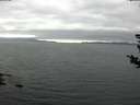 ./images/koeye/fitz-hugh/20180812/fitz-hugh20180812_161502.jpg