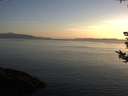 ./images/koeye/fitz-hugh/20180812/fitz-hugh20180812_204001.jpg