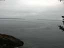 ./images/koeye/fitz-hugh/20180813/fitz-hugh20180813_082501.jpg