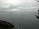 ./images/koeye/fitz-hugh/20180813/fitz-hugh20180813_095501.jpg