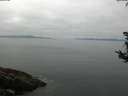 ./images/koeye/fitz-hugh/20180813/fitz-hugh20180813_112502.jpg