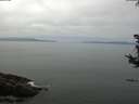 ./images/koeye/fitz-hugh/20180813/fitz-hugh20180813_114501.jpg