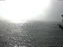 ./images/koeye/fitz-hugh/20180813/fitz-hugh20180813_161502.jpg