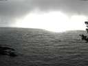 ./images/koeye/fitz-hugh/20180813/fitz-hugh20180813_175001.jpg
