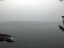 ./images/koeye/fitz-hugh/20180814/fitz-hugh20180814_062001.jpg