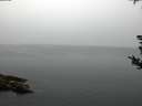 ./images/koeye/fitz-hugh/20180814/fitz-hugh20180814_062501.jpg