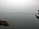 ./images/koeye/fitz-hugh/20180814/fitz-hugh20180814_063501.jpg
