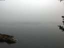 ./images/koeye/fitz-hugh/20180814/fitz-hugh20180814_064501.jpg