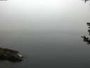 ./images/koeye/fitz-hugh/20180814/fitz-hugh20180814_065501.jpg