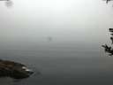 ./images/koeye/fitz-hugh/20180814/fitz-hugh20180814_071002.jpg