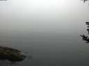 ./images/koeye/fitz-hugh/20180814/fitz-hugh20180814_071502.jpg
