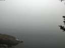 ./images/koeye/fitz-hugh/20180814/fitz-hugh20180814_073502.jpg