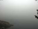./images/koeye/fitz-hugh/20180814/fitz-hugh20180814_074502.jpg