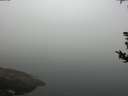 ./images/koeye/fitz-hugh/20180814/fitz-hugh20180814_075002.jpg