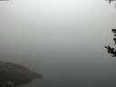 ./images/koeye/fitz-hugh/20180814/fitz-hugh20180814_075502.jpg