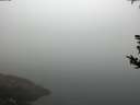 ./images/koeye/fitz-hugh/20180814/fitz-hugh20180814_080002.jpg