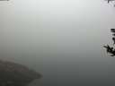 ./images/koeye/fitz-hugh/20180814/fitz-hugh20180814_080502.jpg