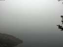 ./images/koeye/fitz-hugh/20180814/fitz-hugh20180814_081002.jpg