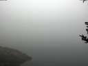 ./images/koeye/fitz-hugh/20180814/fitz-hugh20180814_081501.jpg