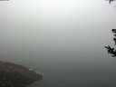 ./images/koeye/fitz-hugh/20180814/fitz-hugh20180814_082001.jpg