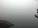 ./images/koeye/fitz-hugh/20180814/fitz-hugh20180814_082501.jpg