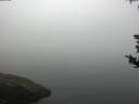 ./images/koeye/fitz-hugh/20180814/fitz-hugh20180814_083501.jpg