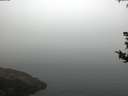 ./images/koeye/fitz-hugh/20180814/fitz-hugh20180814_084001.jpg