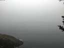 ./images/koeye/fitz-hugh/20180814/fitz-hugh20180814_084501.jpg