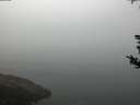 ./images/koeye/fitz-hugh/20180814/fitz-hugh20180814_085001.jpg