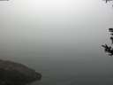 ./images/koeye/fitz-hugh/20180814/fitz-hugh20180814_085501.jpg