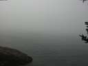 ./images/koeye/fitz-hugh/20180814/fitz-hugh20180814_095502.jpg