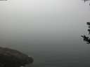 ./images/koeye/fitz-hugh/20180814/fitz-hugh20180814_102002.jpg