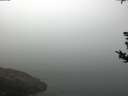 ./images/koeye/fitz-hugh/20180814/fitz-hugh20180814_104002.jpg