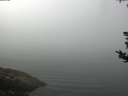 ./images/koeye/fitz-hugh/20180814/fitz-hugh20180814_114001.jpg