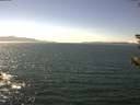 ./images/koeye/fitz-hugh/20180814/fitz-hugh20180814_144501.jpg