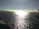 ./images/koeye/fitz-hugh/20180814/fitz-hugh20180814_172501.jpg