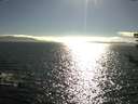 ./images/koeye/fitz-hugh/20180814/fitz-hugh20180814_174501.jpg
