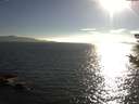 ./images/koeye/fitz-hugh/20180814/fitz-hugh20180814_183501.jpg