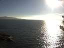 ./images/koeye/fitz-hugh/20180814/fitz-hugh20180814_184001.jpg