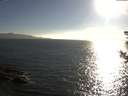 ./images/koeye/fitz-hugh/20180814/fitz-hugh20180814_184501.jpg