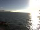 ./images/koeye/fitz-hugh/20180814/fitz-hugh20180814_185501.jpg