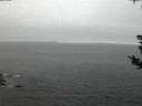 ./images/koeye/fitz-hugh/20180815/fitz-hugh20180815_054001.jpg