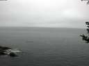 ./images/koeye/fitz-hugh/20180815/fitz-hugh20180815_063502.jpg