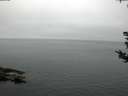 ./images/koeye/fitz-hugh/20180815/fitz-hugh20180815_064502.jpg