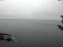 ./images/koeye/fitz-hugh/20180815/fitz-hugh20180815_065501.jpg