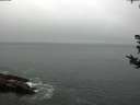 ./images/koeye/fitz-hugh/20180815/fitz-hugh20180815_073502.jpg
