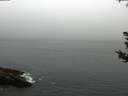 ./images/koeye/fitz-hugh/20180815/fitz-hugh20180815_075502.jpg