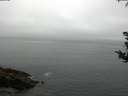 ./images/koeye/fitz-hugh/20180815/fitz-hugh20180815_081501.jpg